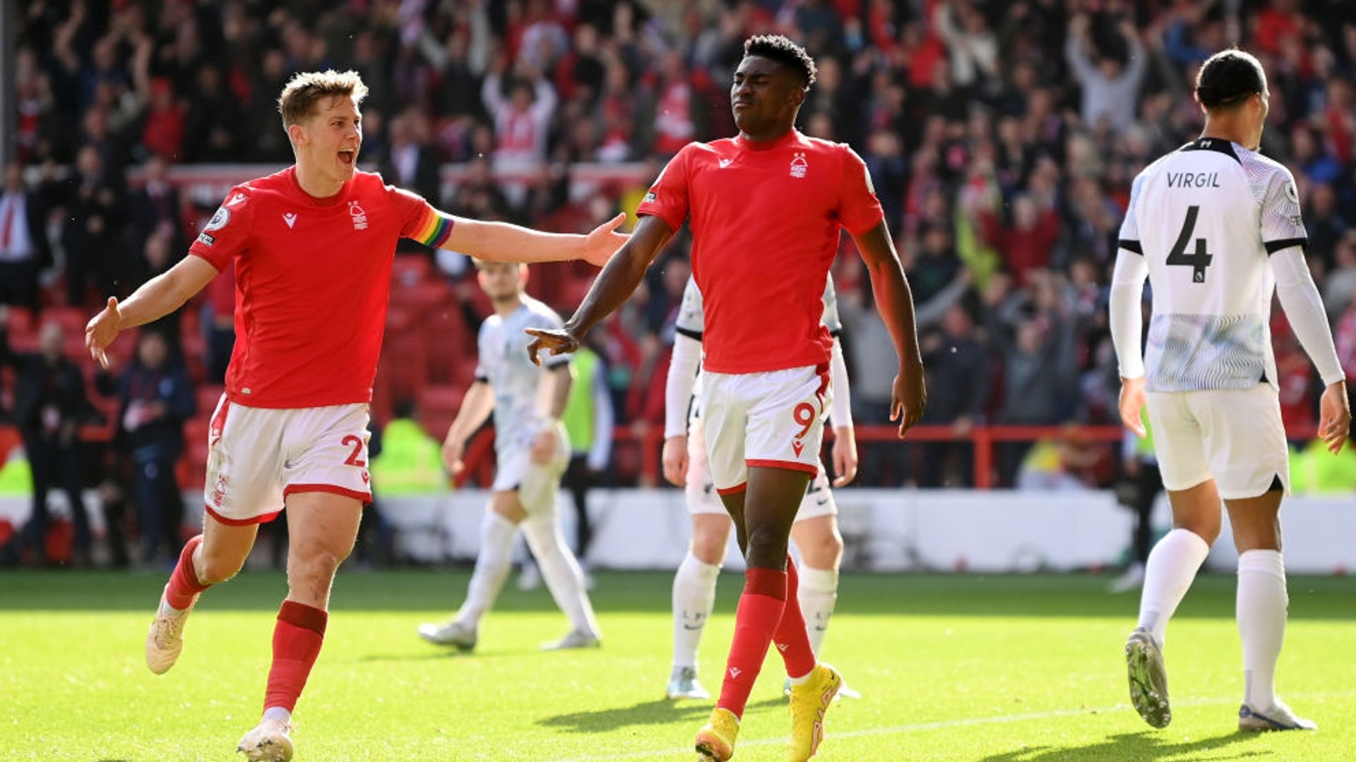 在這裡棲息 在這裡棲息